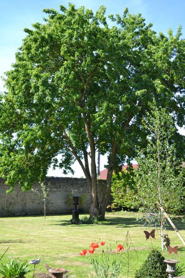 La Maison Des Buis Falaise  Exteriör bild